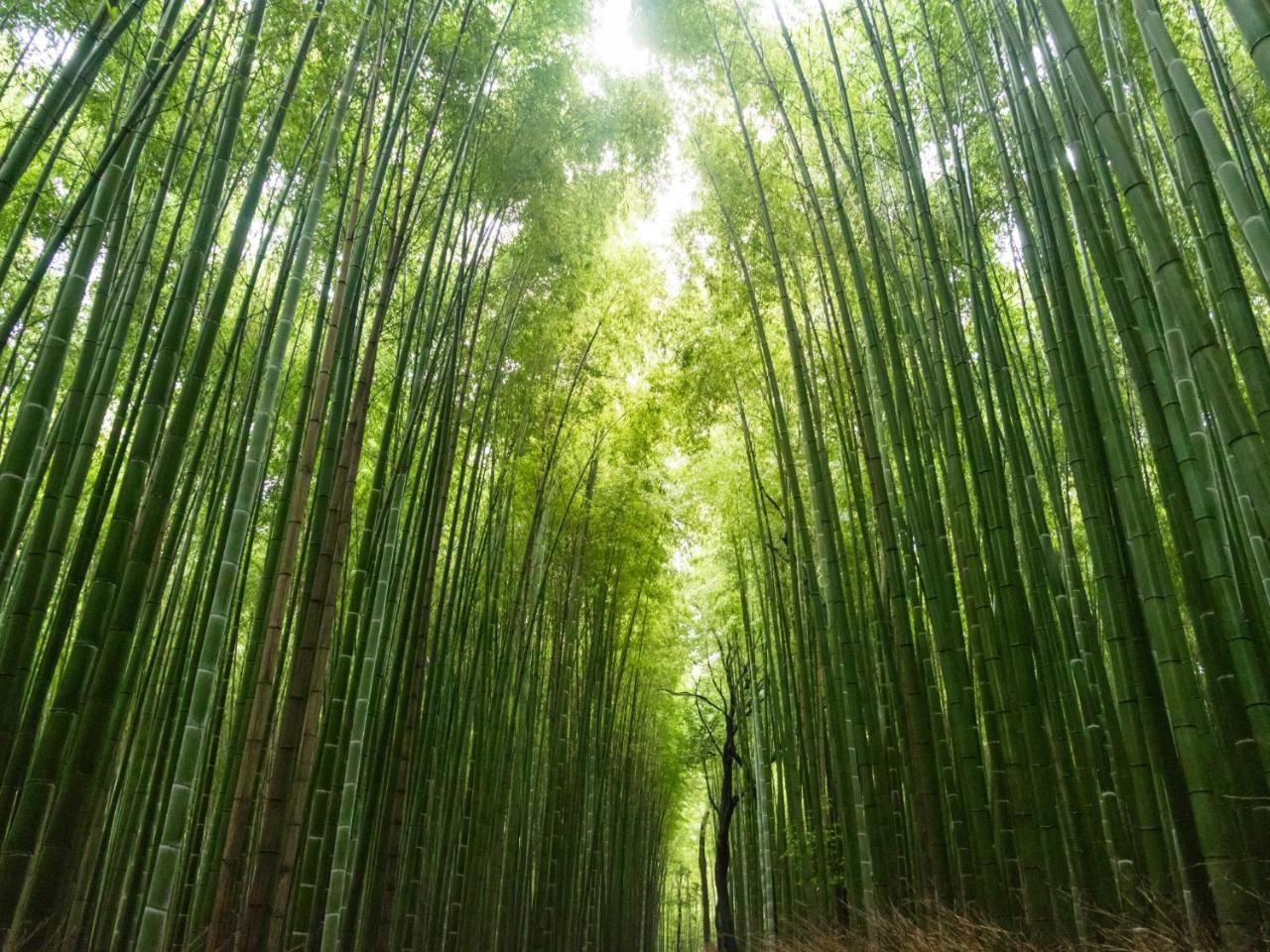 Sumitei Kiyomizu Gojo Hotel Kyoto Ngoại thất bức ảnh